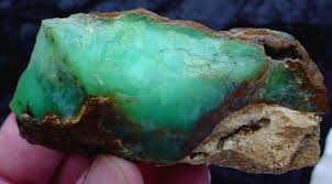 chrysoprasus