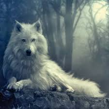 WhiteWolf
