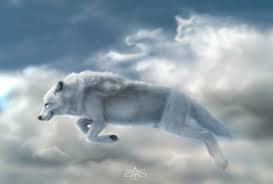 whitewolfinclouds