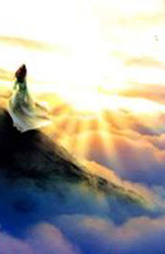 cumberland academy logo